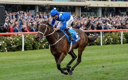 Winx one year on