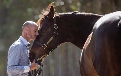 Makybe Diva – From champion to legend