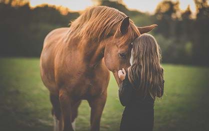 Healing with horses
