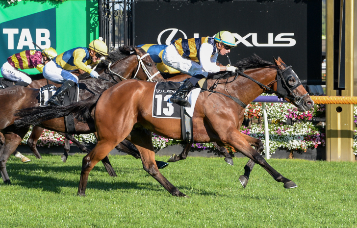 Cascadian wins TAB Australian Cup in a spectacular finish | Latest News ...