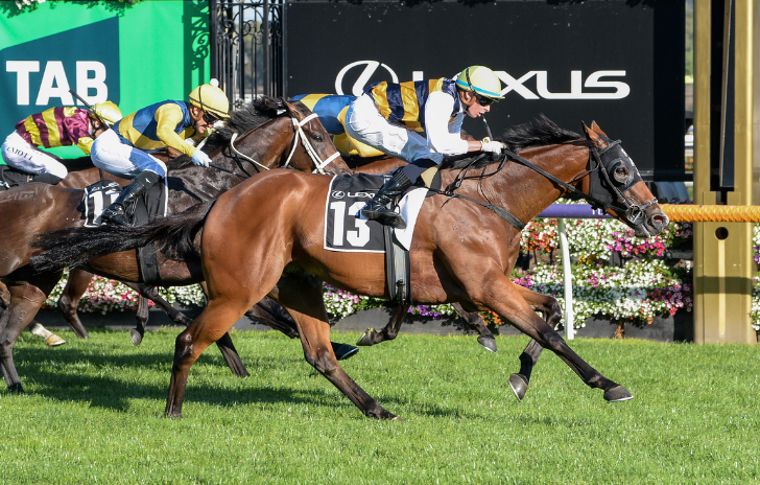 Tab Racing Australia Cascadian wins TAB Australian Cup in a spectacular finish | Latest News ...