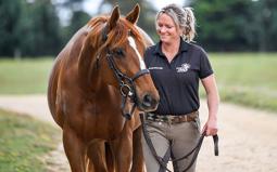 New online platform is increasing the visibility of retired racehorses