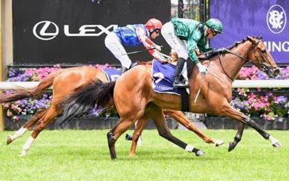 Tigertiger tale continues to grow with Bagot win