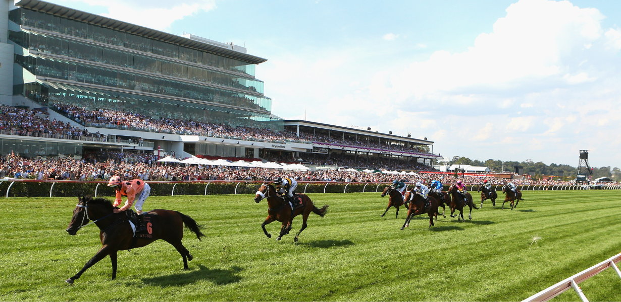 Straight stunners | Latest News | VRC