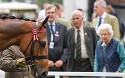HM The Queen’s success with Off The Track thoroughbreds at Royal Windsor Horse Show