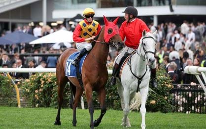 Rose in search of Flemington success