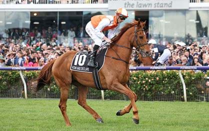 Melbourne Cup winner set to take his place in Zipping Classic
