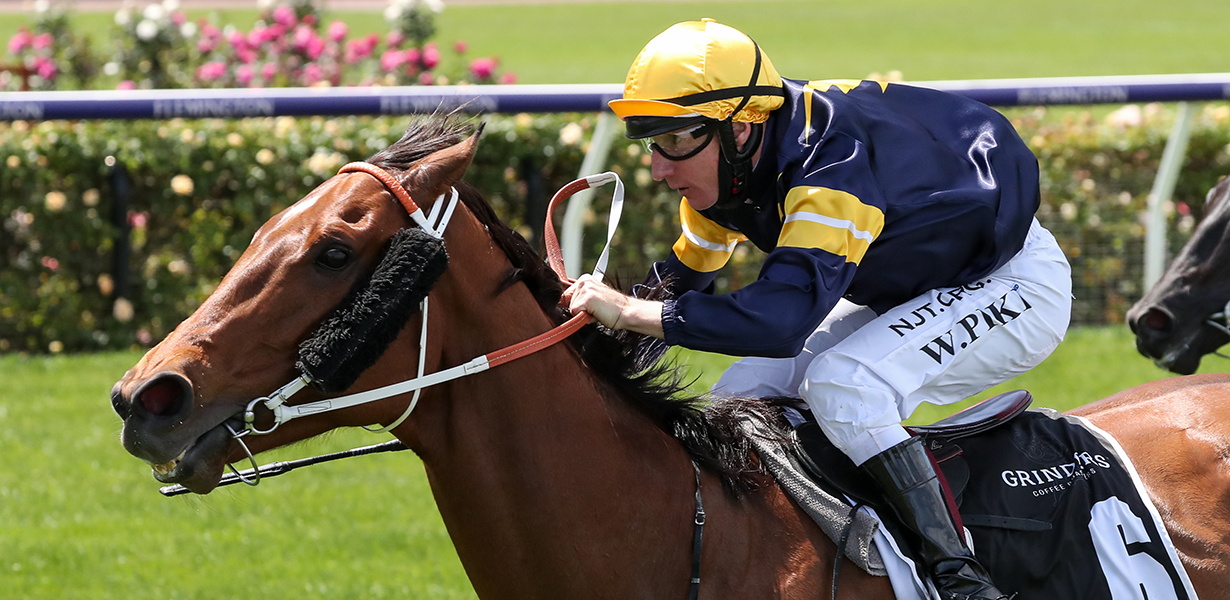 Taking the reins