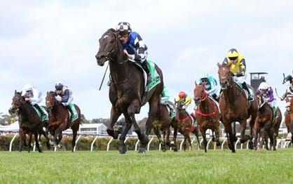 Gold Trip stunning in TAB Turnbull Stakes
