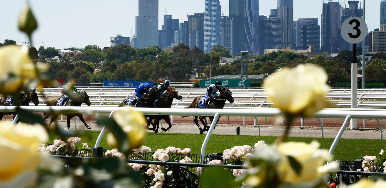 Race Dates and Conditions at Victoria Racing Club