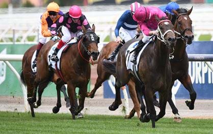 Fangirl beats the boys in Paramount+ Carbine Club Stakes