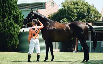 The Black Caviar Lightning in numbers