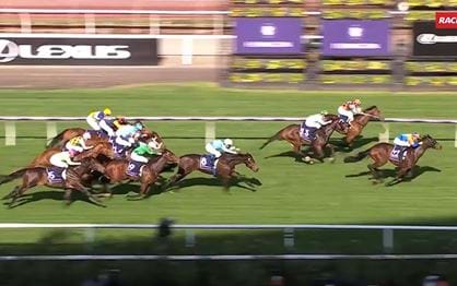 VRC Country Race Day Highlights