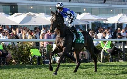 34 in contention for Lexus Melbourne Cup