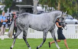 First show for Hartnell and Chautauqua