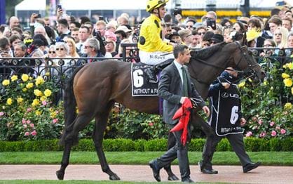 Without A Fight rises in the weights for the Lexus Melbourne Cup