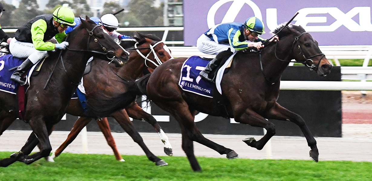 Flemington outing for Floating Artist Latest News VRC