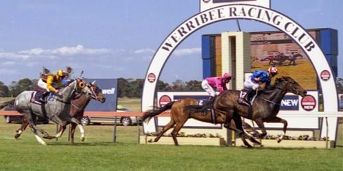 A year before the first of three successive Melbourne Cups, Makybe Diva won the 2002 Werribee Cup with Luke Currie aboard. (Racing Photos)