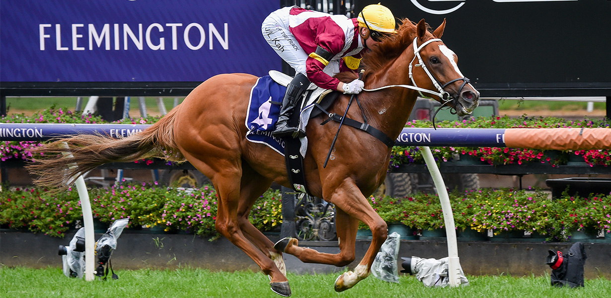 Flemington Racing Spectacular to feature new Cup qualifier News