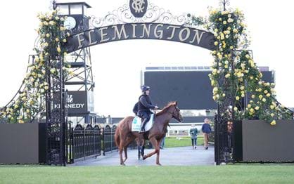 Melbourne Cup contenders get first look at Flemington