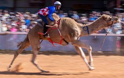 Glen Boss talks camel racing and the Lexus Melbourne Cup Tour