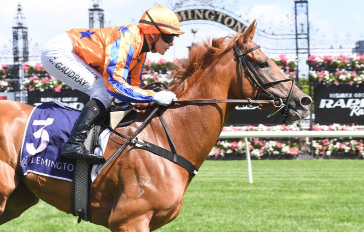 Rapid Racing highlights