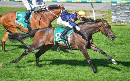 Emissary receives Lexus Melbourne Cup penalty