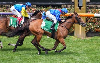 Wollombi takes out The Vanity