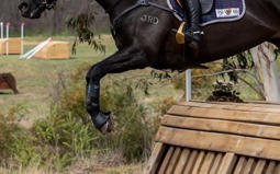 Koko Popping Candy's second career