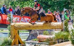 Failed racehorse rewrites the record books in eventing