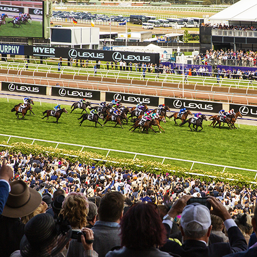 Planning your race day VRC Members