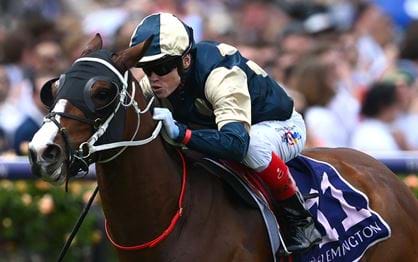 Is Soulcombe Melbourne Cup bound?