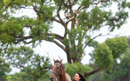 Where horses find a new home