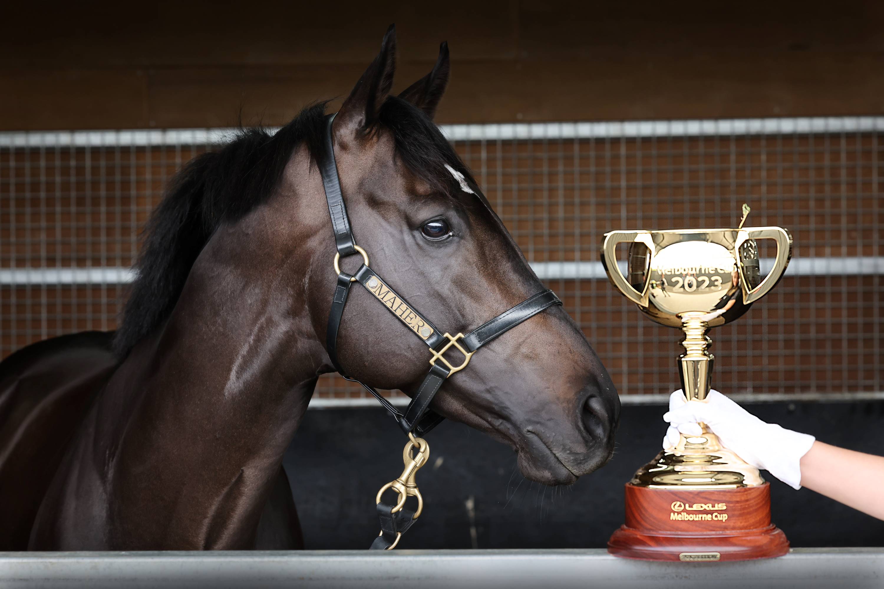 Melbourne Cup 2025 Nominations Winners Dian Kathie