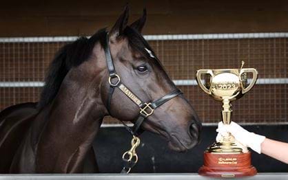 Lexus Melbourne Cup picture firms with 132 nominations