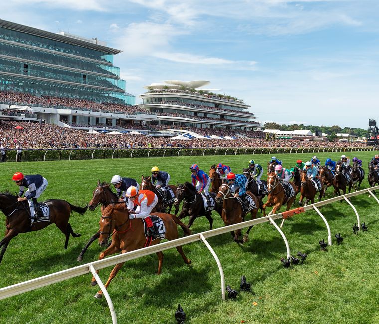 VRC Members Hub | Victoria Racing Club