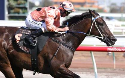Black Caviar:  A record that is hard to beat